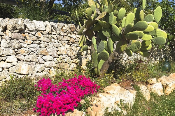 Hotel Trullo Sovrano Exclusive B&B